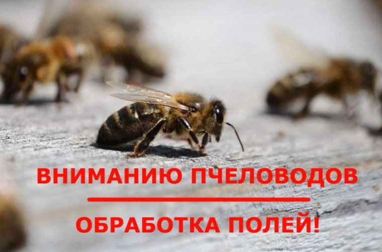 Объявление. Объявление.
